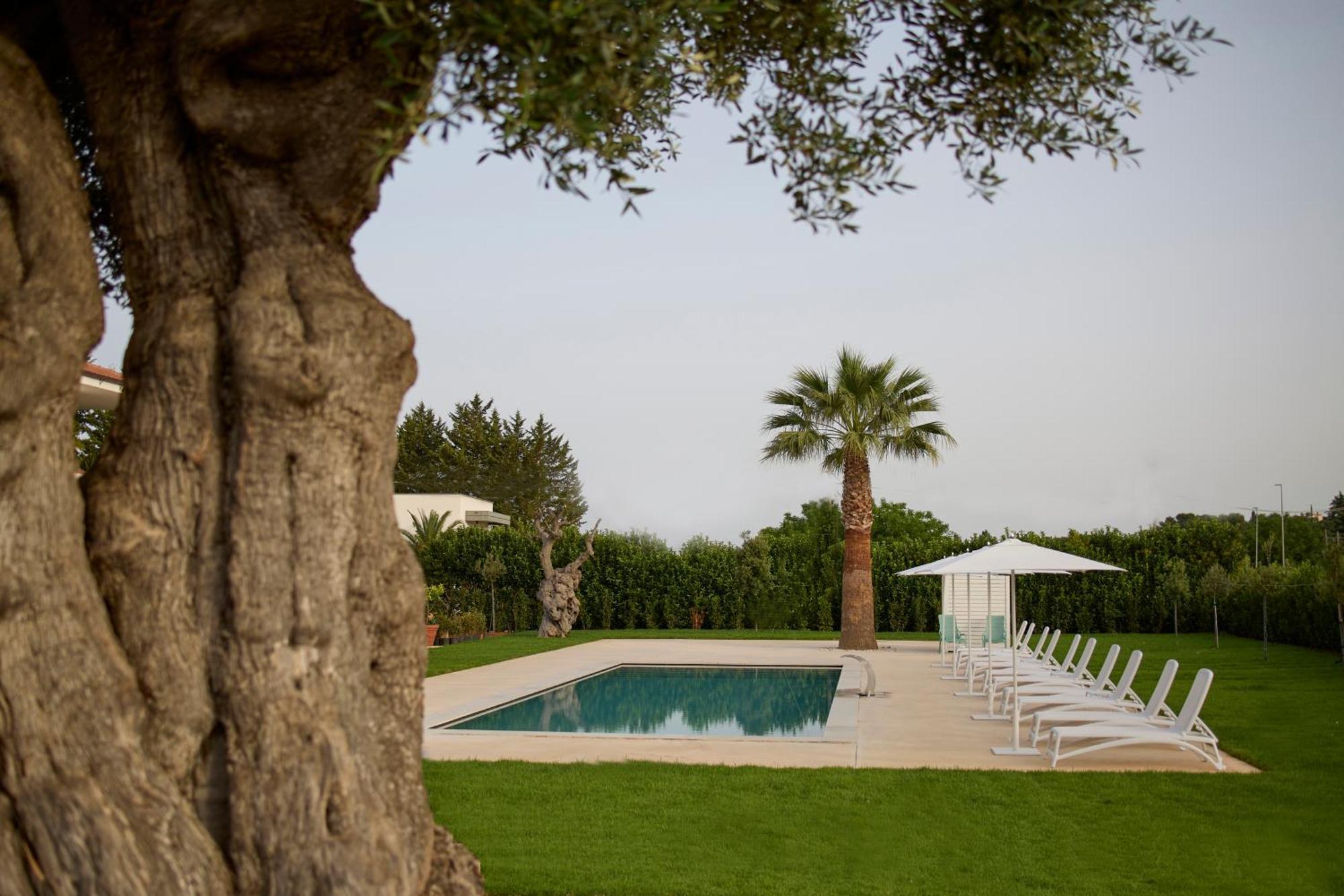 B&B Le Bianche Noci